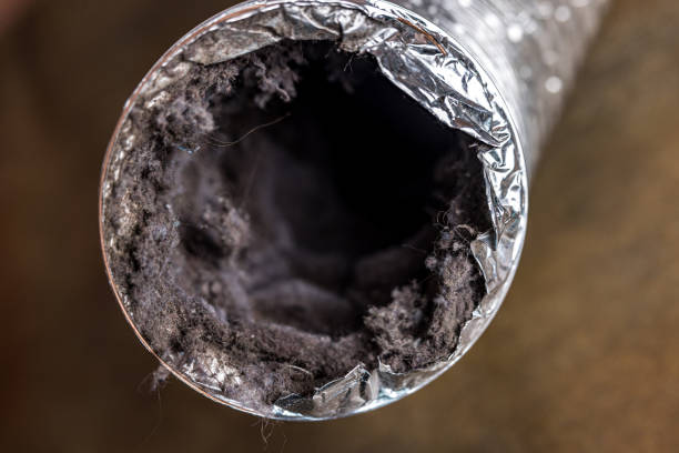 Best Ductwork Cleaning Services  in Oxnard, CA